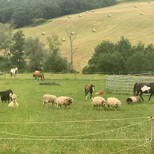 A La Ferme Avec Jacuzzi Et Piscine Chauffee Hébergement de vacances Saint-Felix-de-Tournegat